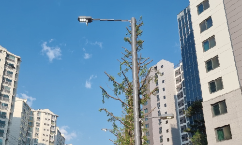 평택서정연립주택재건축정비사업_정비기반시설교통시설물설치공사